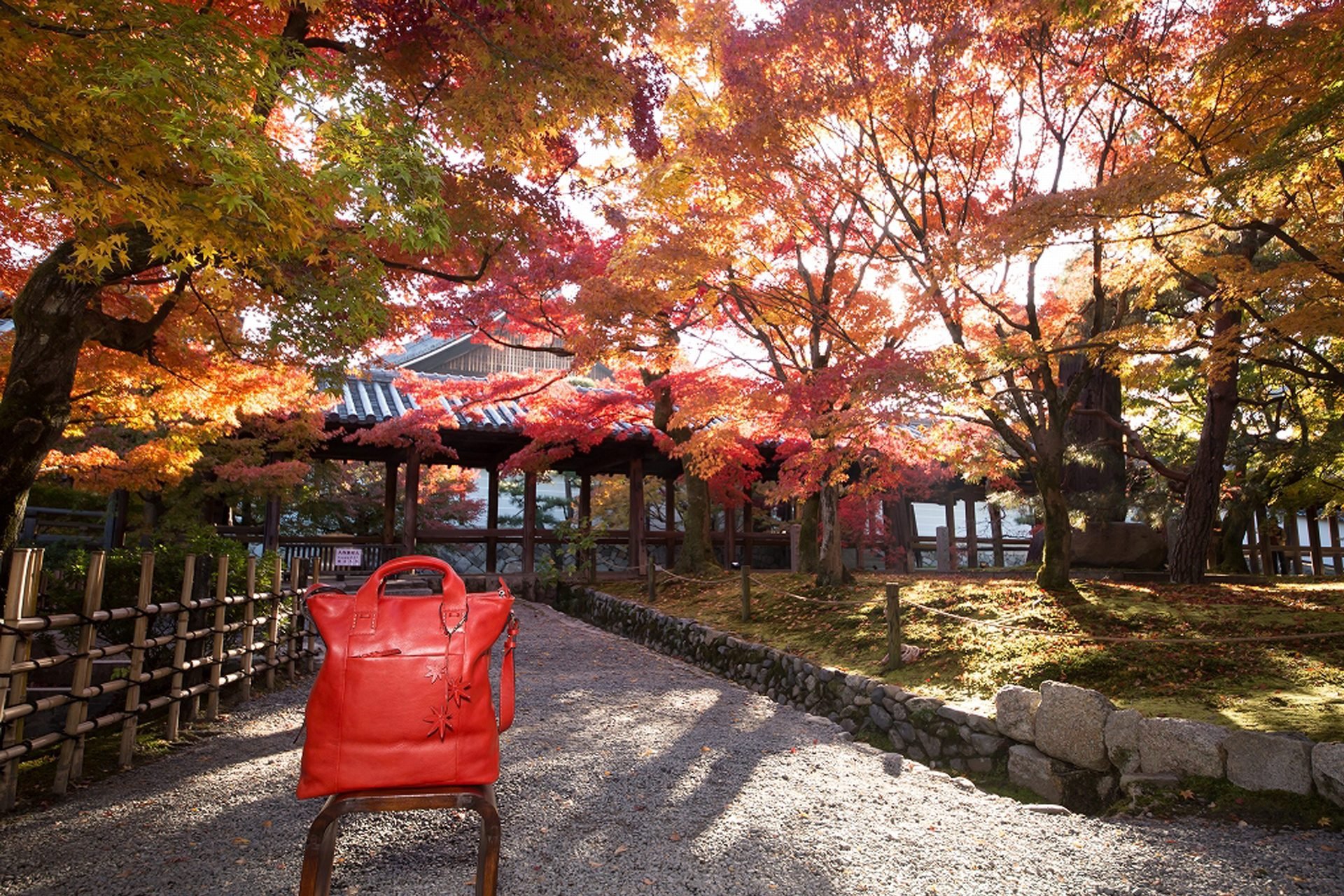 🏯 광명원 (코묘인) 이미지 4